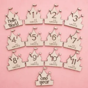 Castle Baby Monthly <br>Milestone Discs
