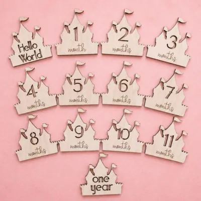 Castle Baby Monthly <br>Milestone Discs
